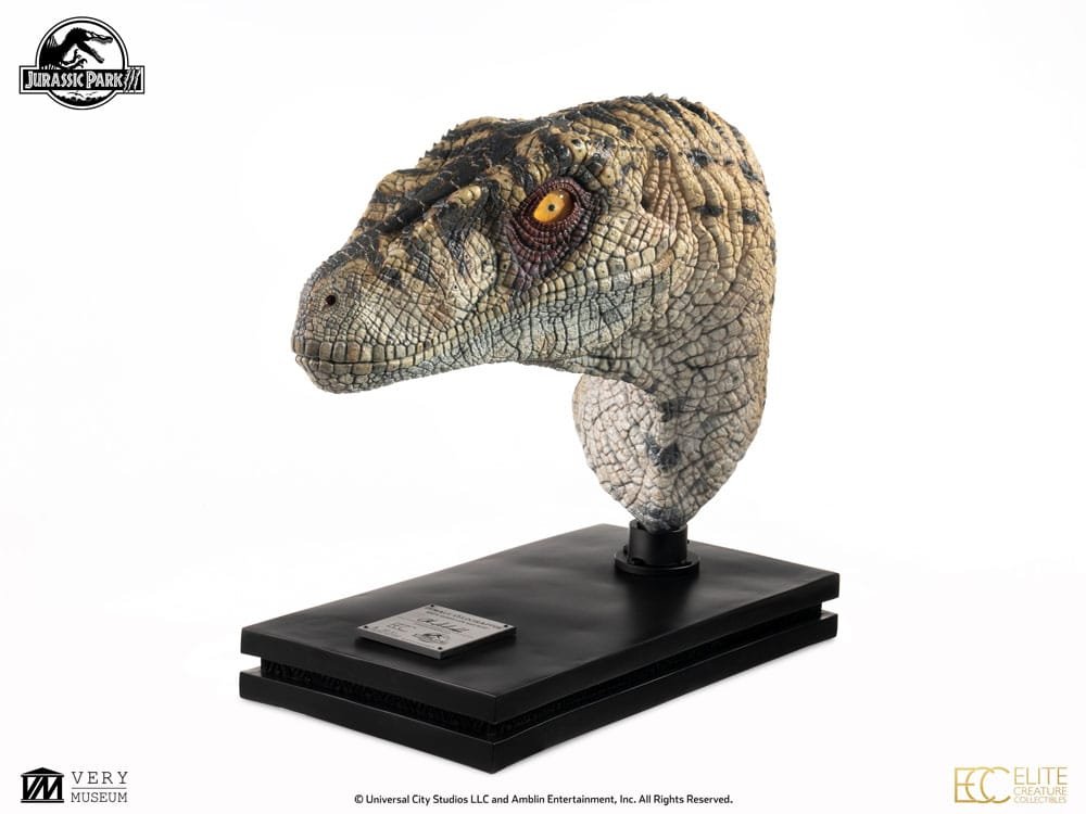 Female Velociraptor 1:1 Life Size Bust Jurassic Park Elite Creature - Imagen 4