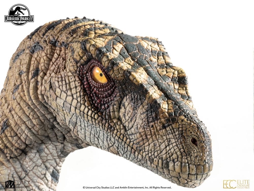Female Velociraptor 1:1 Life Size Bust Jurassic Park Elite Creature - Imagen 6