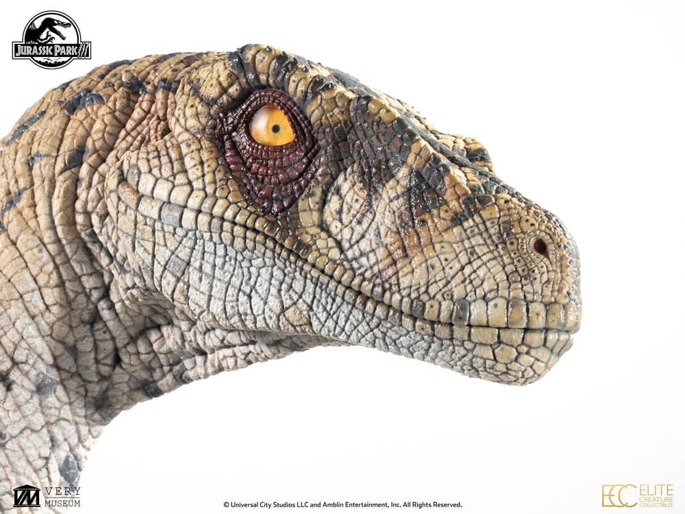 Female Velociraptor 1:1 Life Size Bust Jurassic Park Elite Creature - Imagen 7
