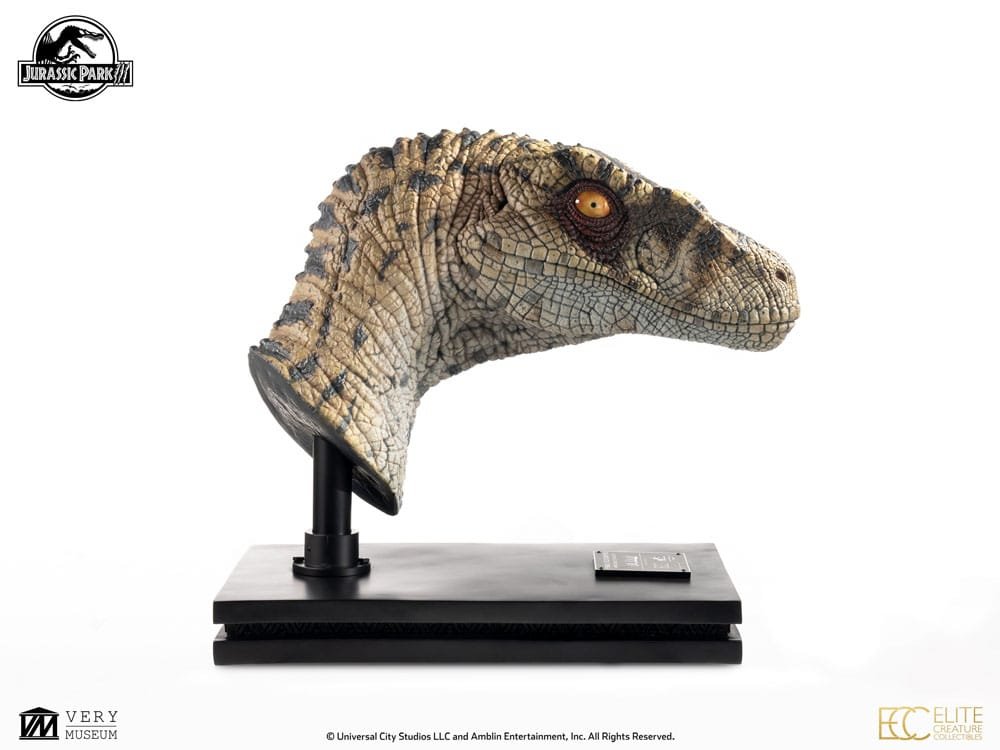 Female Velociraptor 1:1 Life Size Bust Jurassic Park Elite Creature - Imagen 2