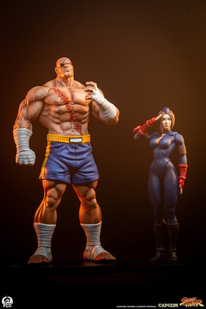 Sagat & Juli 1:10 Street Fighter PCS Collectibles