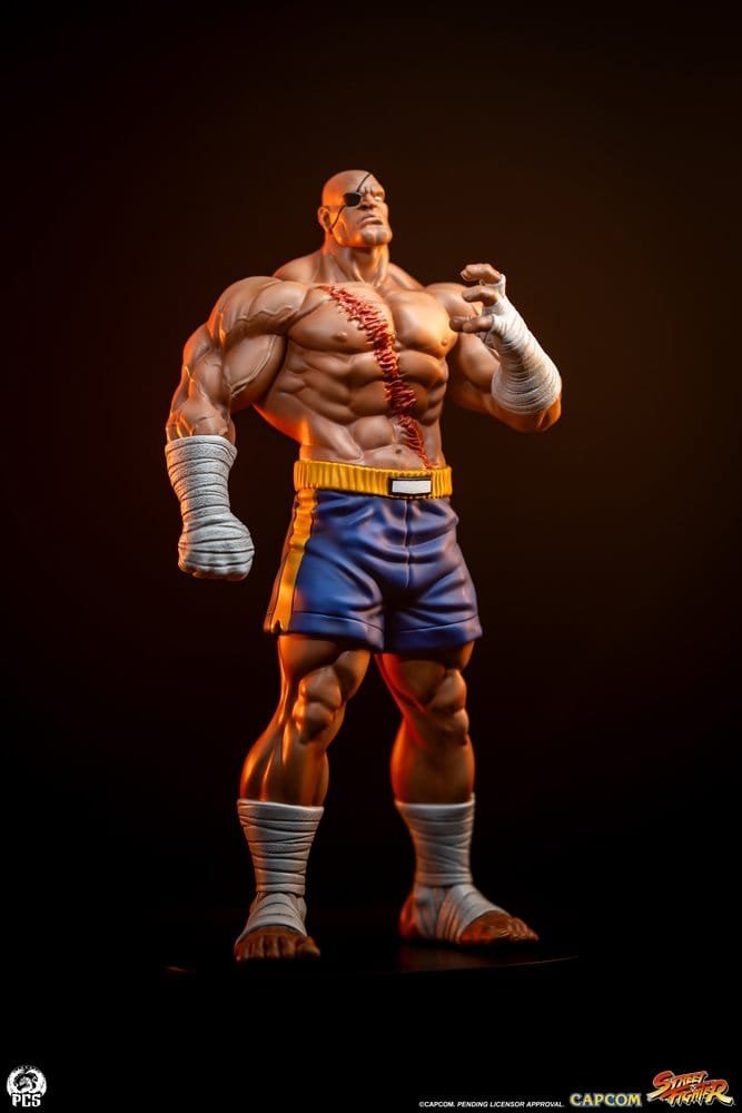 Sagat & Juli 1:10 Street Fighter PCS Collectibles - Imagen 2