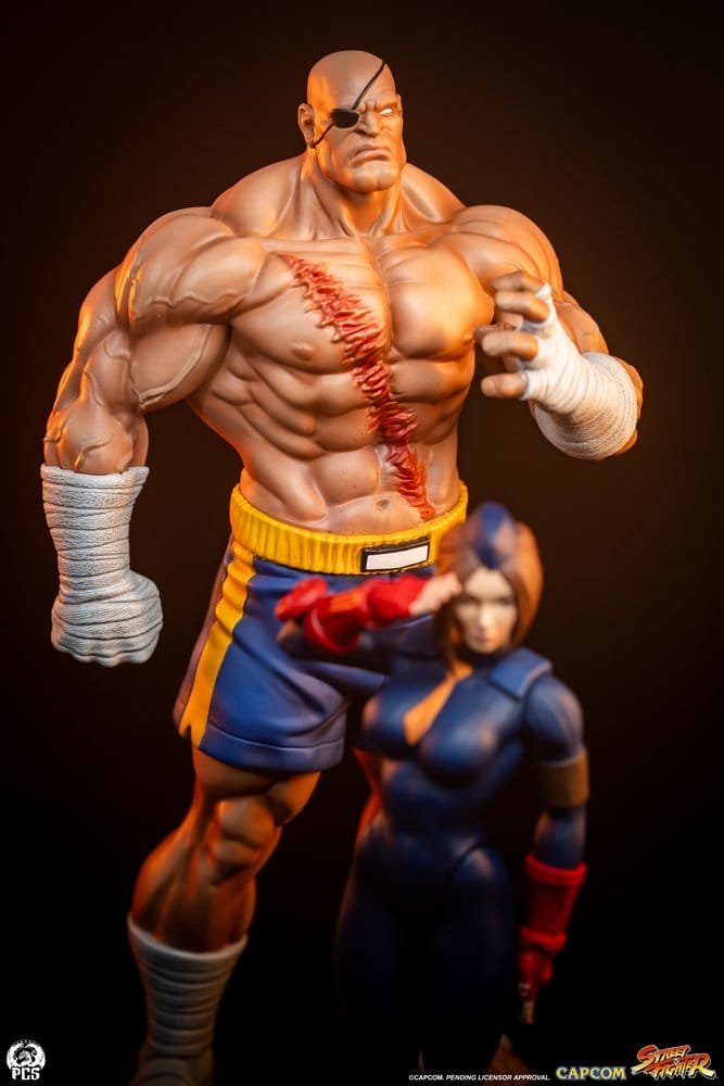 Sagat & Juli 1:10 Street Fighter PCS Collectibles - Imagen 4