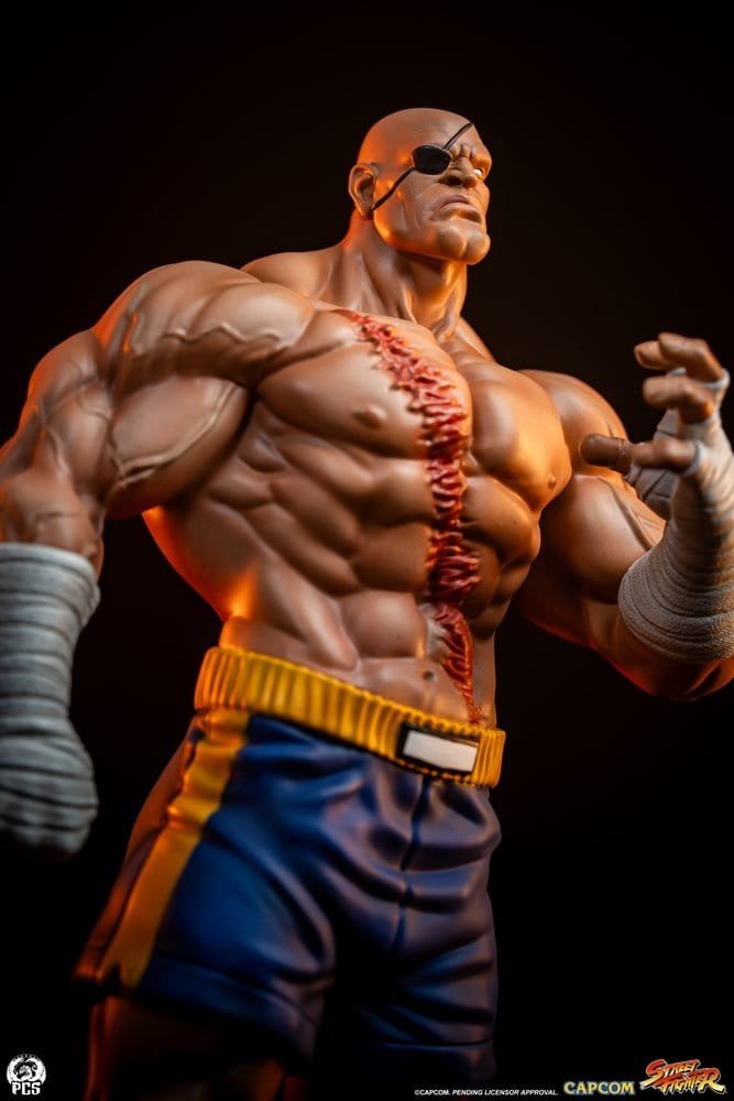 Sagat & Juli 1:10 Street Fighter PCS Collectibles - Imagen 5
