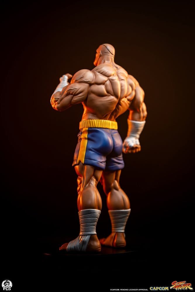 Sagat & Juli 1:10 Street Fighter PCS Collectibles - Imagen 6